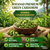 Wayanad Green Cardamom – Handpicked, Fresh & Naturally Aromatic 100gm